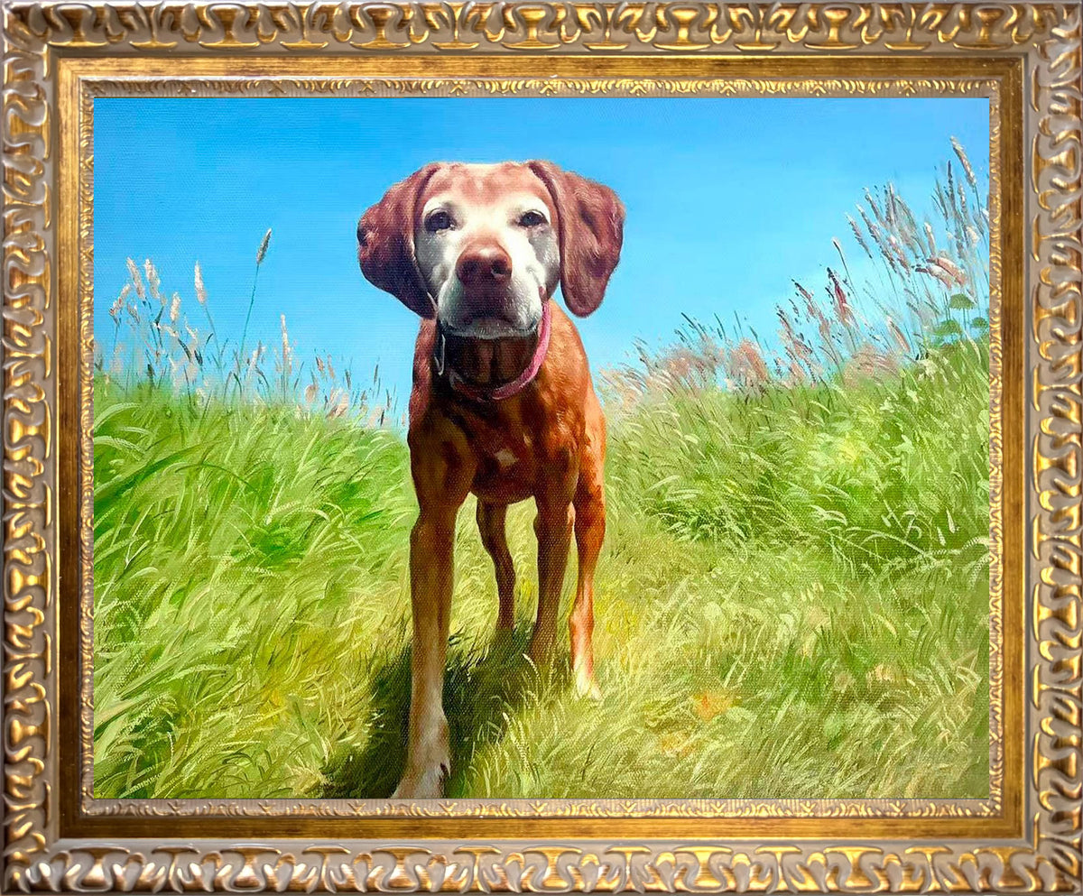 Custom hand-painted oil portrait of a brown and white dog standing in a sunlit grassy meadow under a bright blue sky, displayed in an ornate gold frame.